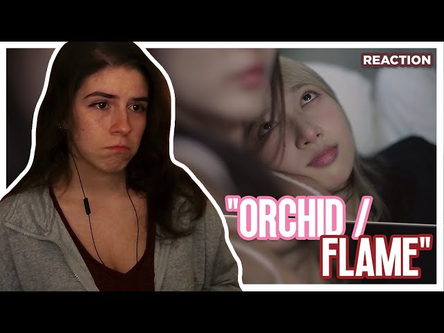 hannah bahng - Orchid / Flame | Reaction
