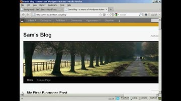 Video 12 - How to Customize Your Theme Menu