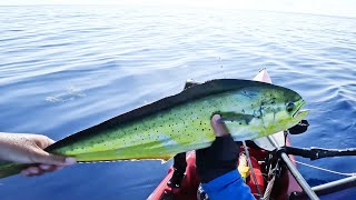 Red Kayak = Blue Water = Green Fish