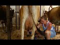 Life On A Wisconsin Dairy Farm