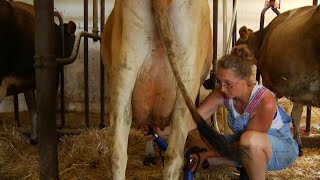 Life On A Wisconsin Dairy Farm