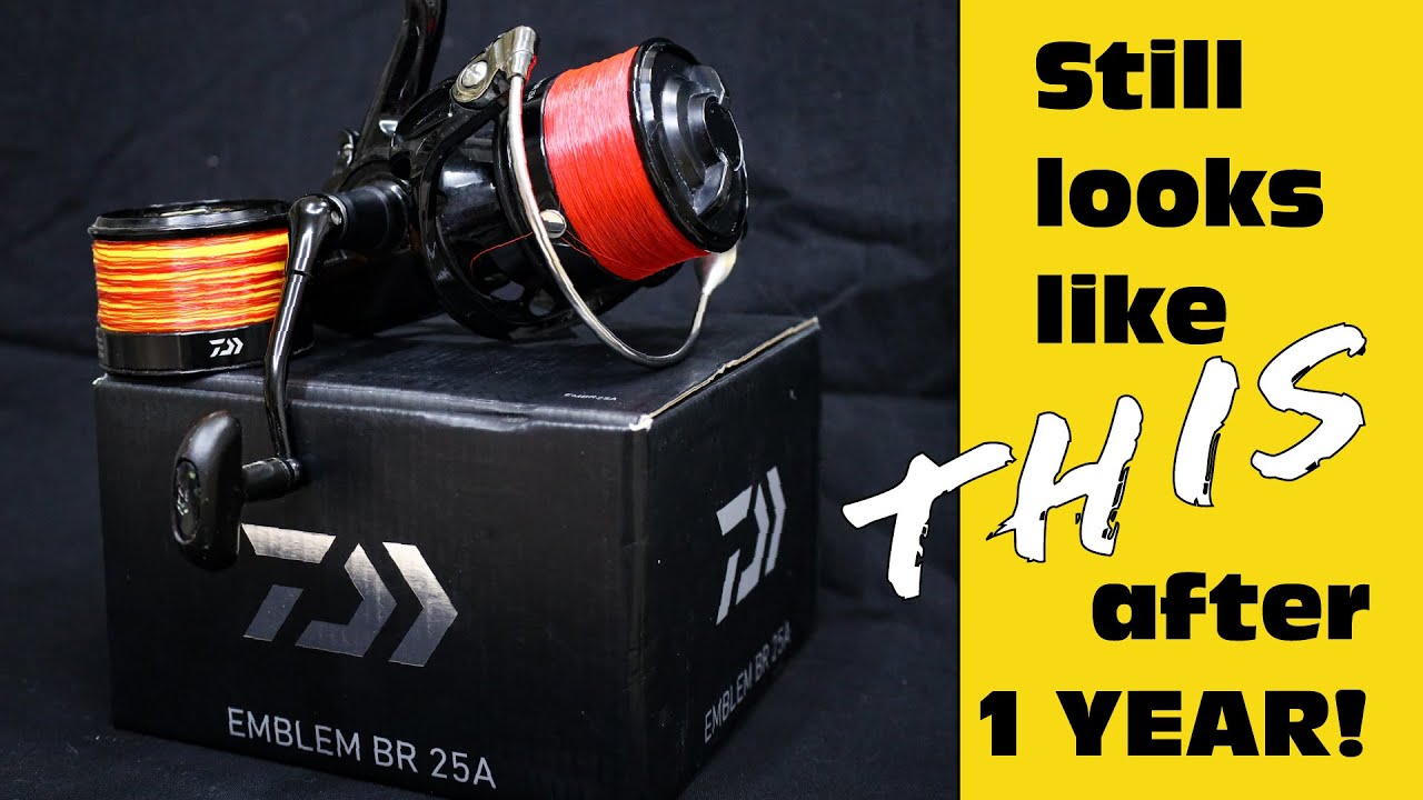 Daiwa Emblem Br A Long Term Review What They Look Like After A