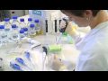 Using a Micropipette - University of Leicester