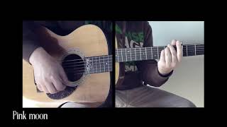How to play Pink Moon album