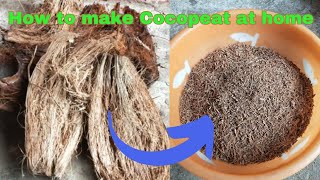 Easy Way to Make Cocopeat at Home