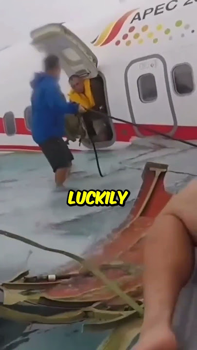 Airplane Half Under Water Rescue (@livinginthecrowd) #shorts