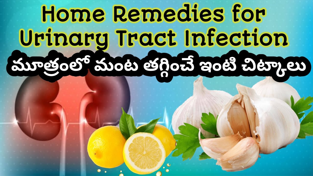 Home Remedies For Urine Infection In Telugu Home Remedies For Urine Infection In Telugu