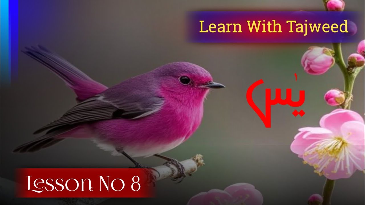 Surah Yaseen Lesson 8 | سورت یٰسین سبق نمبر 8 | Learn  Quran With Tajweed | Learn Quran With Heart