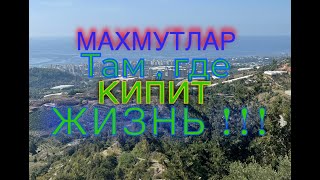 Обзор района Махмутлар в Алании (Турция)