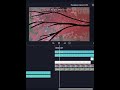 Спойлер к сениалу あかいねこ #спойлер #анимация #animation