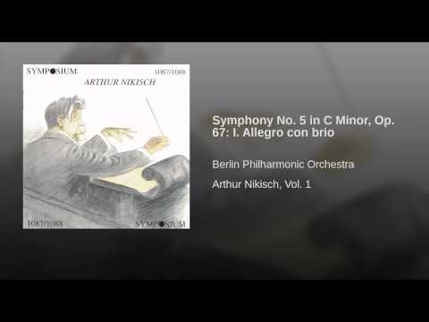 Symphony No. 5 in C Minor, Op. 67: I. Allegro con brio