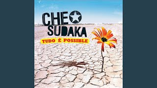 Miniatura del video "Che Sudaka - Seras Feliz"