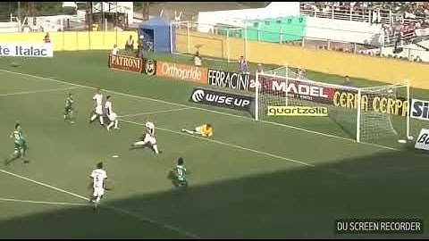 Gol do palmeiras 2 x 0 bragantino gol de dudu