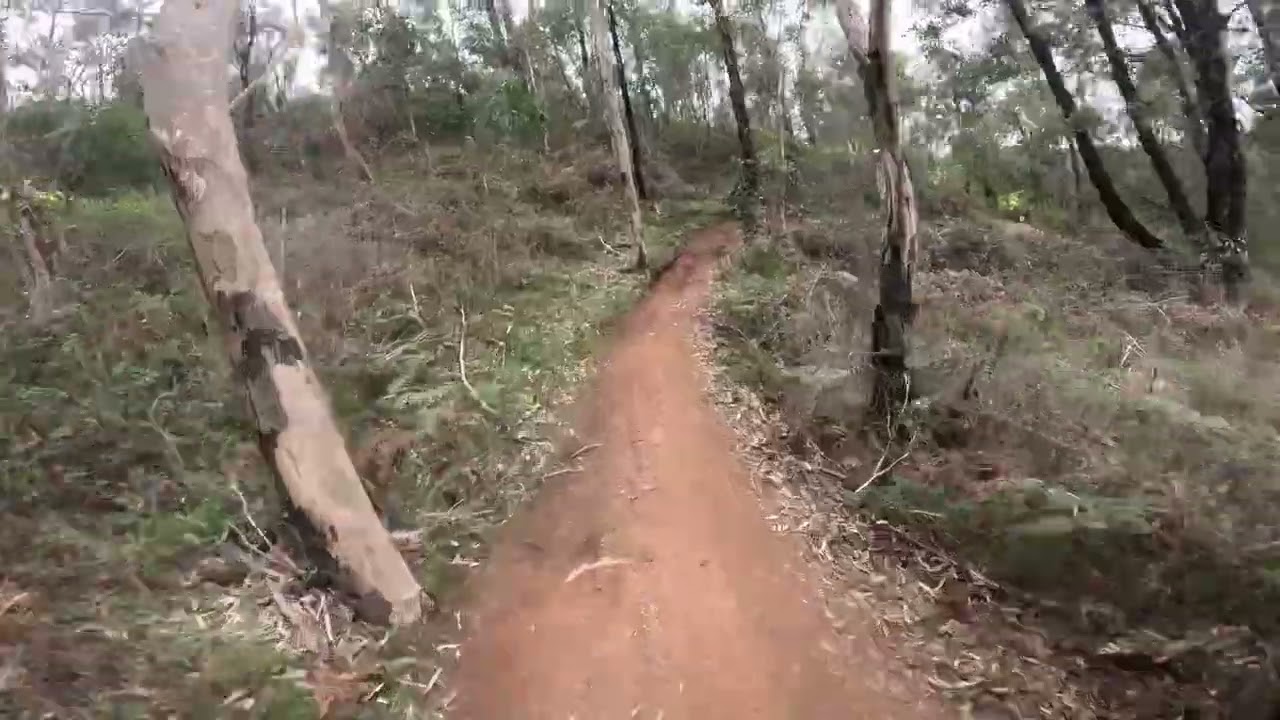 9th place Fox long 2024 insideline race run