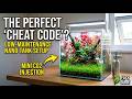 The PERFECT Low-Maintenance Desktop Aquascape (Nano Tank Setup)