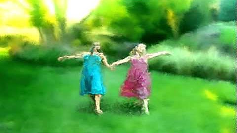 Animated Painterly Rendering with Photoshop Actions