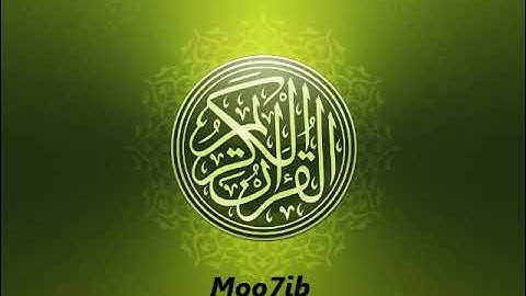 سورة الرعد  للقارى عامر الكاظمي