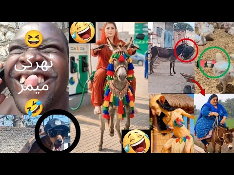 Most Funny Moments Of Pakistani People 😆🤣-part:- 03 | Pakistani funny video.funny Memes,ٹھرکی میمز