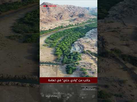 وادي حلي تهامة القنفذة حلي سد حلي السعودية