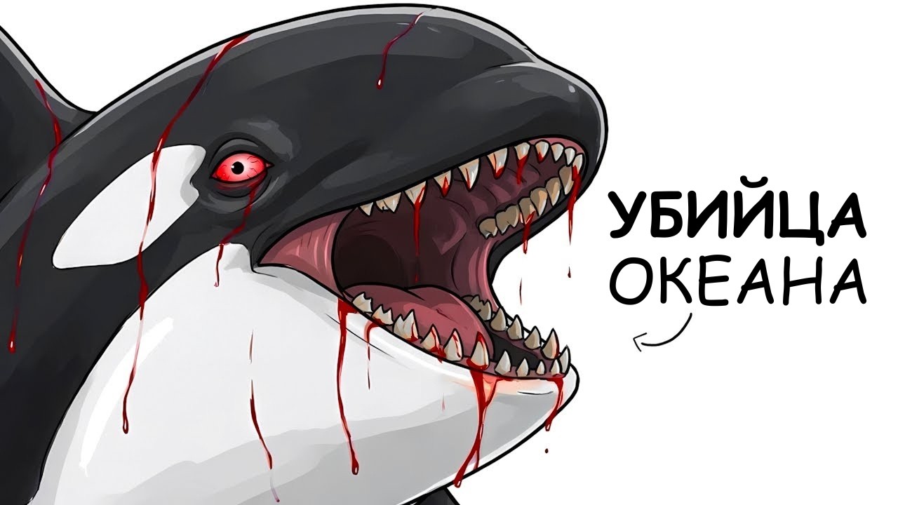 Ты – Косатка (И ЭТО ВСЯ ТВОЯ ЖИЗНЬ)