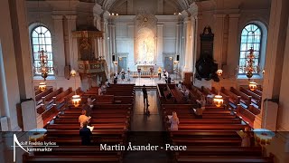 Martin Åsander - Peace