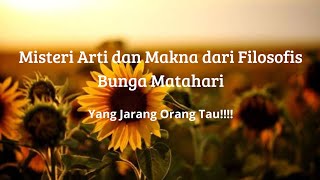 Arti dan Makna dari Filosofis Bunga Matahari
