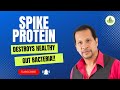 Spike protein destroys healthy gut bacteria