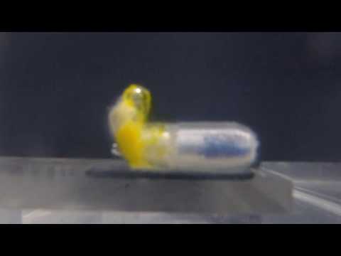 Multiply Labs Capsule Dissolving Process