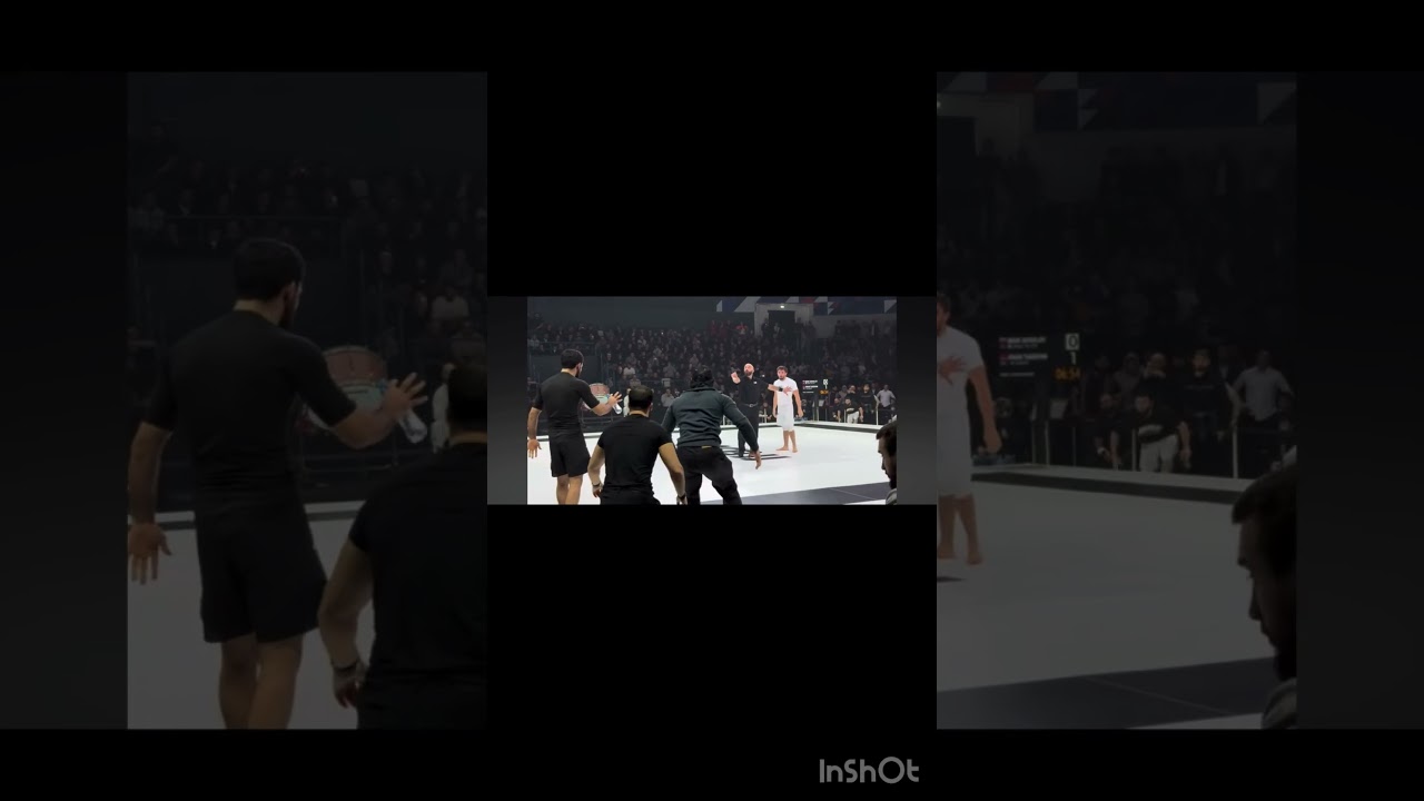 Should arman's brother fight mehdi's brother? Mehdi # arman # fight