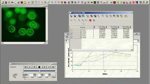 Intensity Over Time Measurements - Image-Pro Plus Software