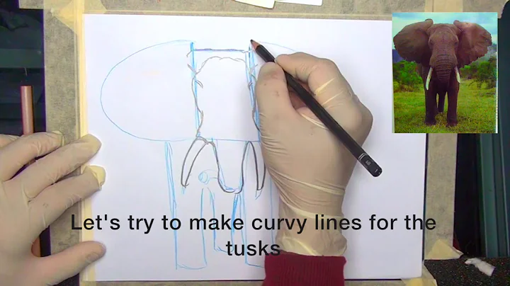 AARIART African Elephant Drawing Lesson