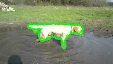 Fast video segmentation example output