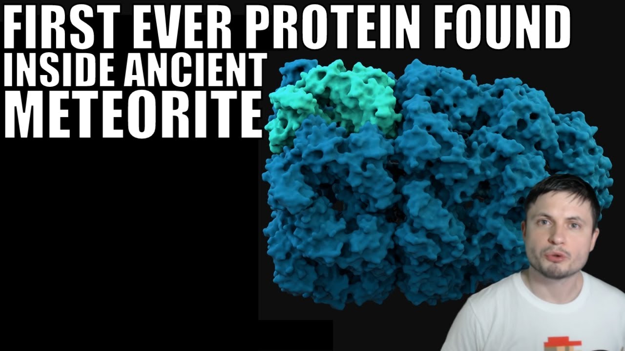 First Ever Protein Found Inside an Ancient Meteorite! First Ever Protein Found Inside an Ancient Meteorite!