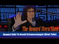 Stern Show Clip   Howard Talks To Arnold Schwarzenegger About Twins