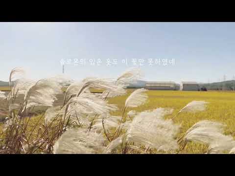 공중 나는 새를 보라 (melody, 감사절) - 찬송가 588장