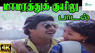 Maamarathu Kuyilu || மாமரத்து குயிலு || Ilaiyaraja,K. S. Chithra||Love Duet H D Song