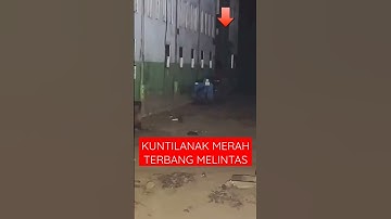 BEKAS PABRIK TERBENGKALAI ANGKER