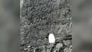 Coal sampling