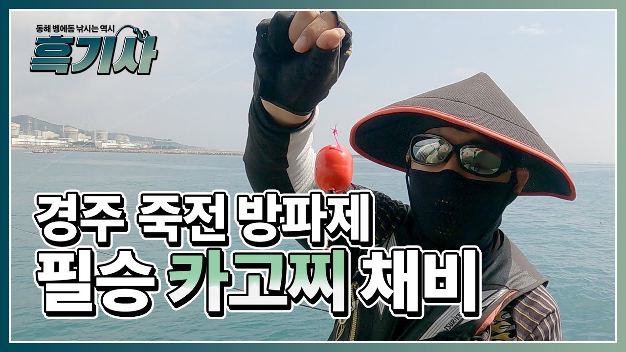 [흑기사 장원석] 경주 죽전 방파제에서, 흑기사 장원석의 필승! 카고찌 채비! 자세히 설명해드립니다
