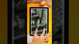 TechLife Pad Neo: Murang dual SIM tablet!