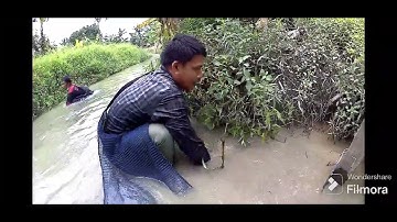 Manusia berang berang " hanya dengan tangan kosong dapat ikan" part I