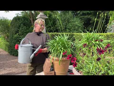 Video: Knoglemel Som Gødning: Anvendelse Til Planter I Haven. Hvad Er Organisk Knoglemelgødning Til I Landet?