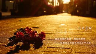 Miniatura de "【初音ミク】二月の花嫁【中文字幕】"