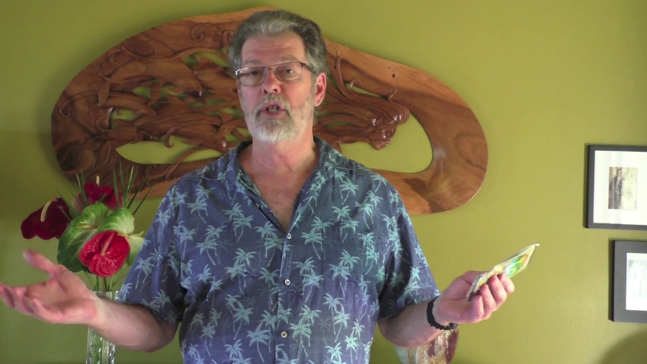 Noni Fruit Leather An Natural Solution for Hypertension YouTube