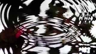 44, rue d'Assas: music for chapter 8