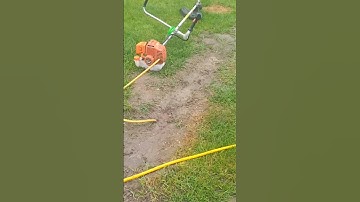 How do you get rid of moles in the garden?kako oterati krticu trimerom 🤣 #trending #viralvideo#moles