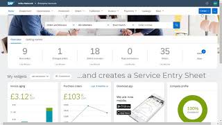 Service Entry Sheets