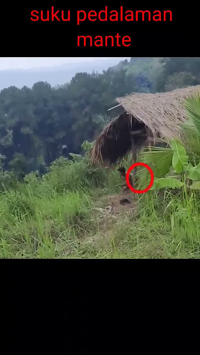 tertangkap kamera !!! suku mante asal aceh,berlari di pedalaman hutan#shorts