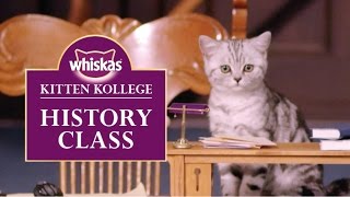 Ep.7 History Class : Kitten Kollege