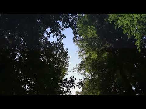 Video 3: Jupilles